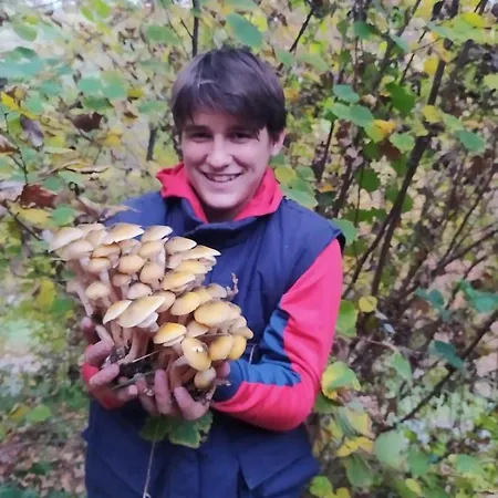 住宿加早餐酒店 Casa Lisa Miane