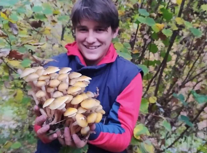 Bed & Breakfast Casa Lisa Miane