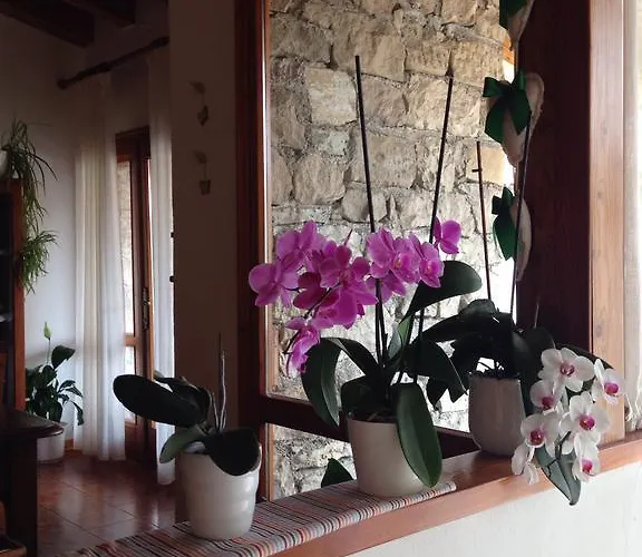 Bed & Breakfast Casa Lisa