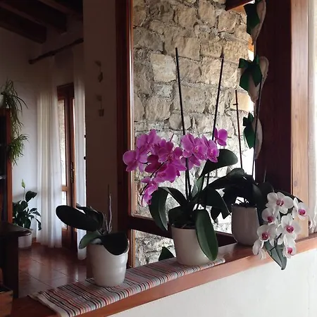 Couette-café Casa Lisa